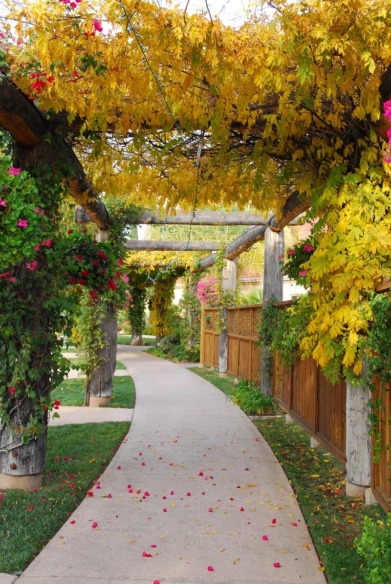 Floral Canopies